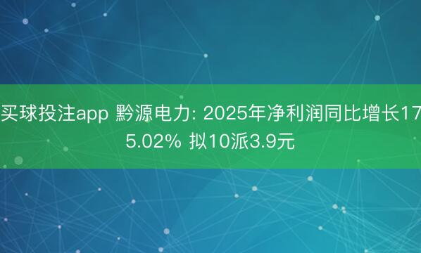 买球投注app 黔源电力: 2025年净利润同比增长175.02% 拟10派3.9元