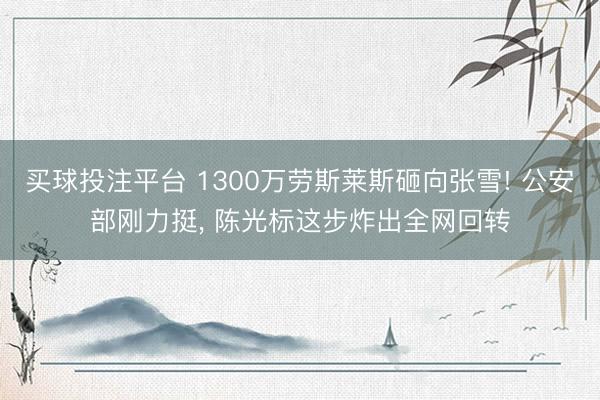 买球投注平台 1300万劳斯莱斯砸向张雪! 公安部刚力挺, 陈光标这步炸出全网回转