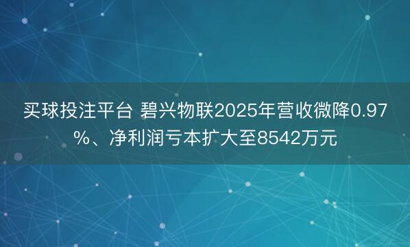 买球投注平台 碧兴物联2025年营收微降0.97%、净利润亏本扩大至8542万元